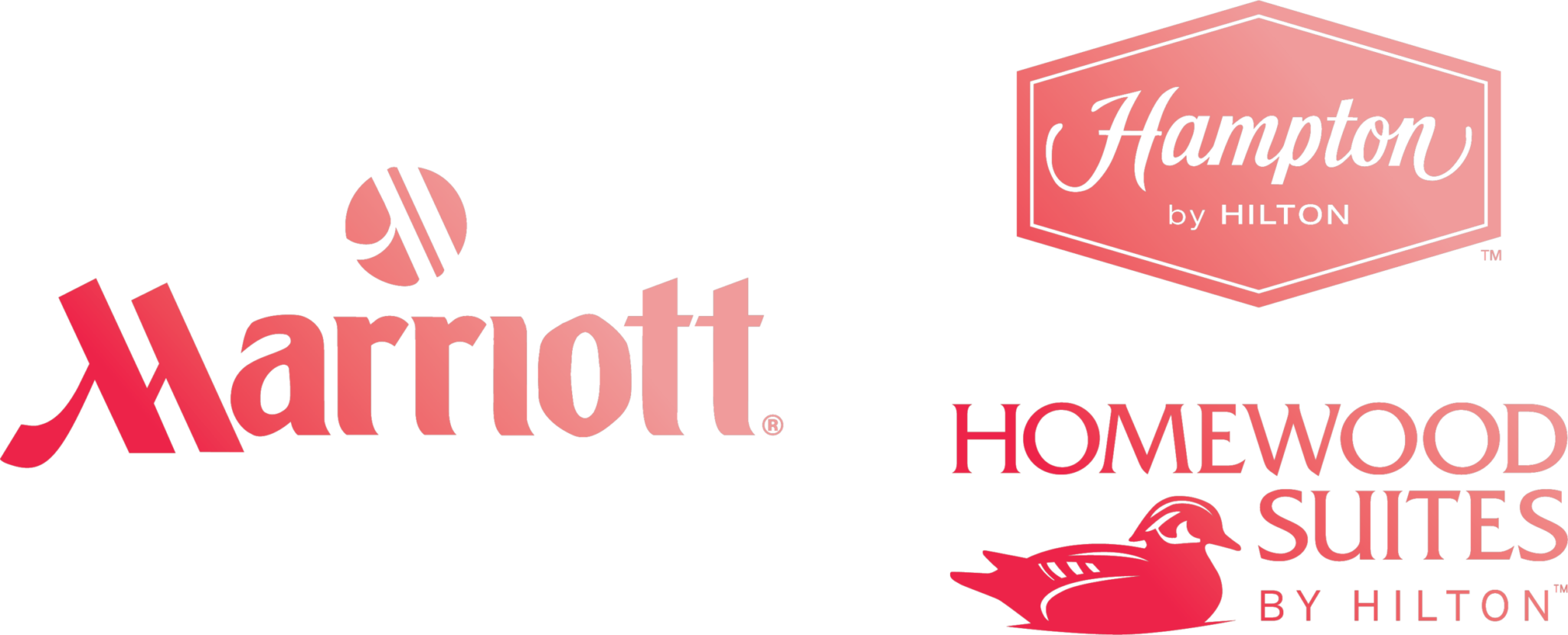 Marriot, Hampton by Hiilton, and Homewood Suites by Hilton